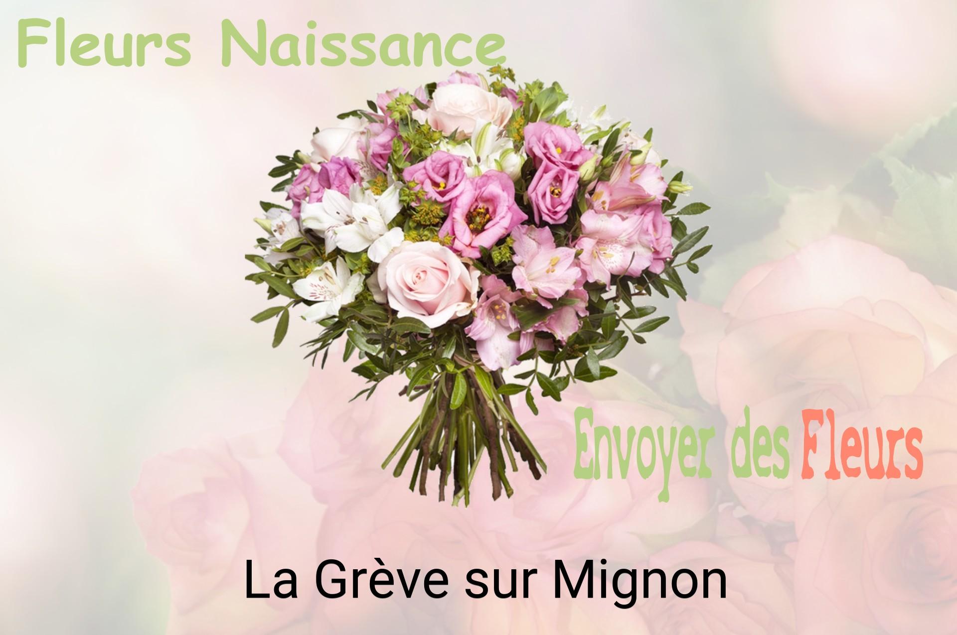 Bouquet de fleurs de naissance livré à La Grève-sur-Mignon