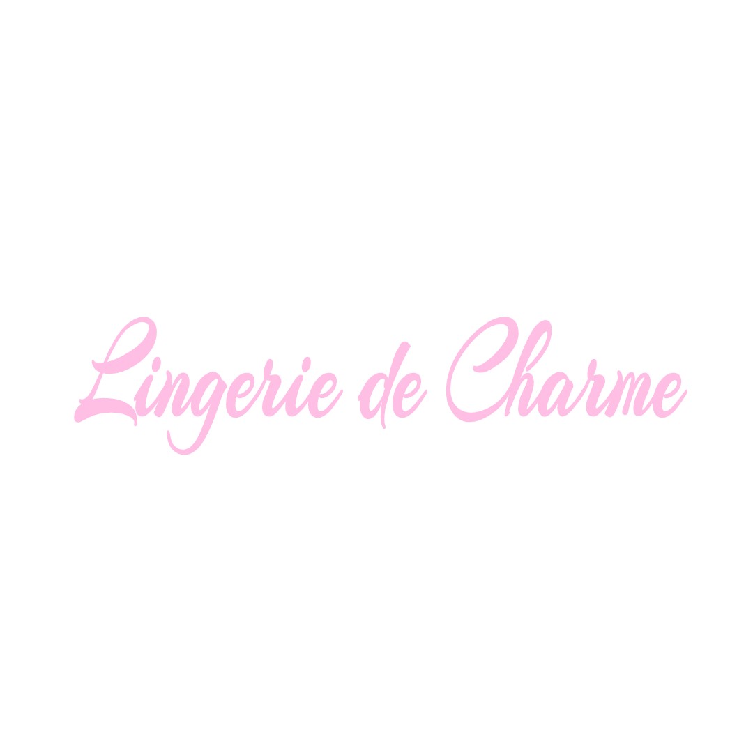 LINGERIE DE CHARME LA-GREVE-SUR-MIGNON